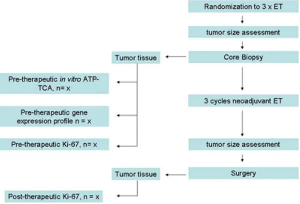 Figure 1. Study flow chart.