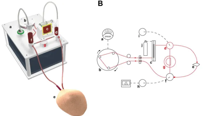 Fig 1. The perfusion system. (A) 3D rendering of the perfusion system used in this study