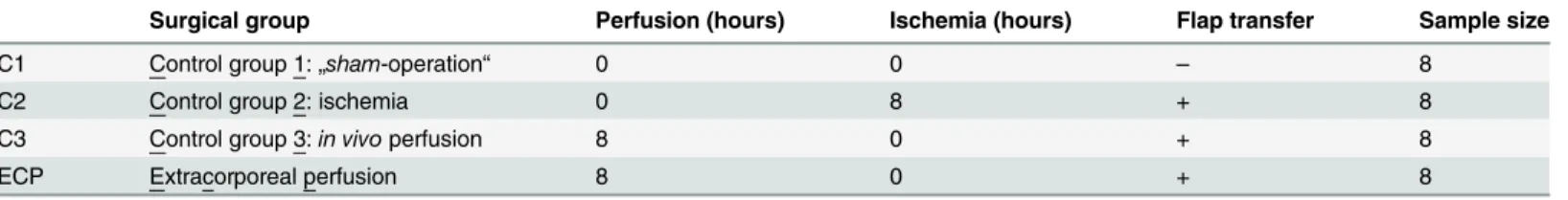 Table 1. Experimental protocol.