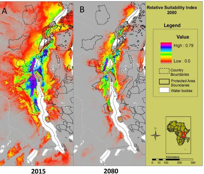 Fig 5. Predicted future habitat suitability and Bd distribution in 2080. A. Illustrates the predicted current distribution and risk of Bd to amphibians in 2015 using all locations in the modeling (Bd records obtained in this study and previous studies [29–