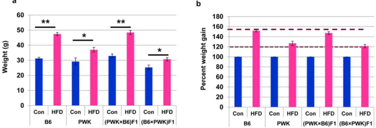 Figure 1. Body weight changes in B6, PWK, and the progeny of their reciprocal crosses