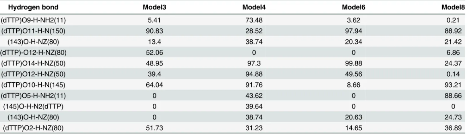 Table 4. Occupancies (%) of Hydrogen bonds between dTTP and YhdE in model 3, 4, 6 and 8.