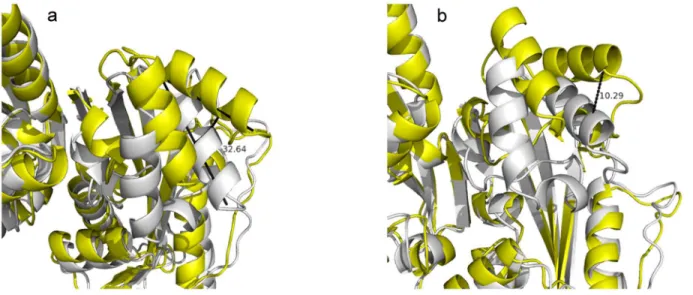 Fig 4. The alignment of the apo-open state dimer (average structure, yellow) and the closed state dimer (average structure, white)