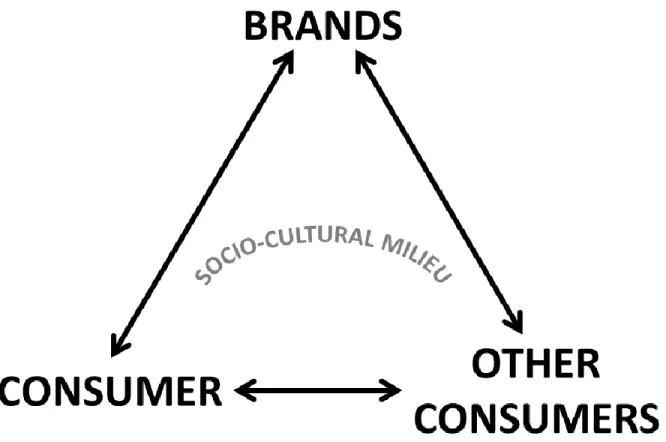 Fig. 2: The three interacting agents that contribute to the definition of a consumer culture: the consumer, other consumers, and brands