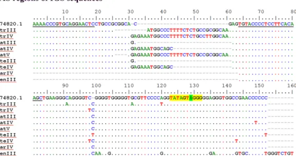 Fig 4. TIS regions of IGS sequence. Alignment of IGS sequences surrounding the transcription initiation site (TIS) from A