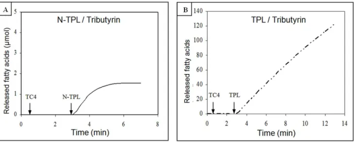 Figure 5. Hydrolysis kinetics of tributyrin by His6-tagged N-TPL and TPL. (A) His6-tagged N-TPL hydrolysis kinetic