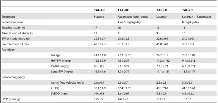 Table 3. Effect of rapamycin in TAC mice with compensated hypertrophy (TAC-COMP).