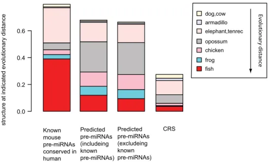 Figure 4. Candidate pre-miRNAs are conserved in sequence and predicted structure over large evolutionary distances