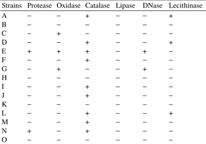 Table 2:  Reflecting the results of biochemical characterization of the  fifteen different bacterial isolates 