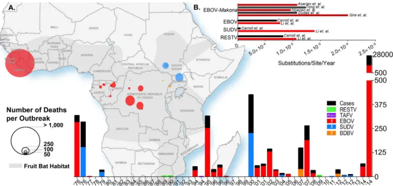 Fig 1. Ebolavirus outbreaks past and present. (A) The geographic map of Africa and the bottom histogram illustrate the number of cases, deaths, and the geographic distribution of several Ebola viruses including Reston (RESTV), Tai Forest (TAFV), Ebola (EBO