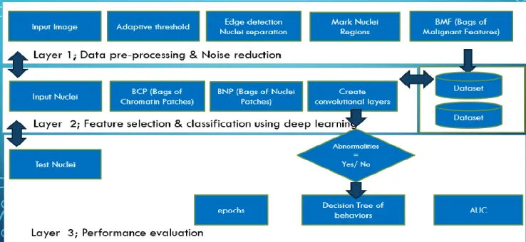 Fig. 2. Intelligent system for detection of abnormalities in human cancerous cells and tissues Workflow  A