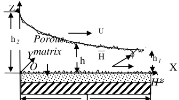 Fig. 1. Porous hyperbolic slider bearing. 