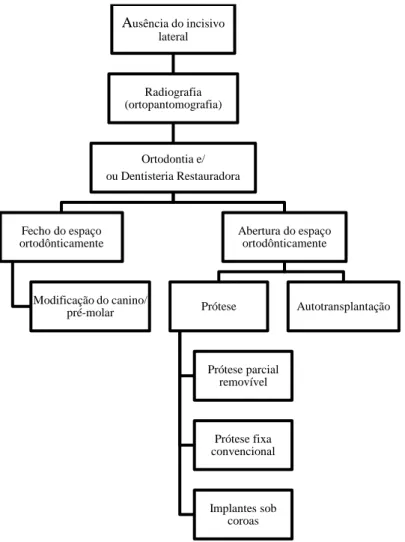 Figura  4-  Estratégia  de  tratamento  da  ausência  do  incisivo  lateral  superior  (Pinho  e  Neves, 2001)