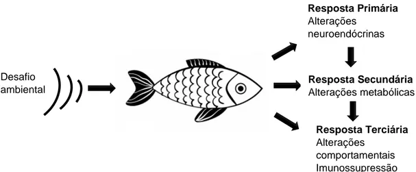 Figura 4 – Diagrama da resposta ao stress em peixes. 