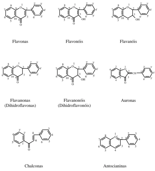 Figura 10. Diferentes classes dos flavonóides.  