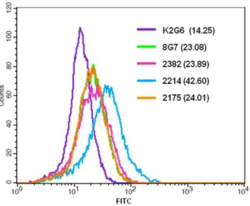 Figure 5. Immunoprecipitation of MUC4 using various MAbs to MUC4. Protein lysates from the MUC4-expressing CD18/HPAF cells were immunoprecipitated using 5 mg/ml of 8G7 (Tandem repeat MAb), 2382, 2214 and 2175 (Non-tandem repeat MAbs) and K2G6 (Isotype matc