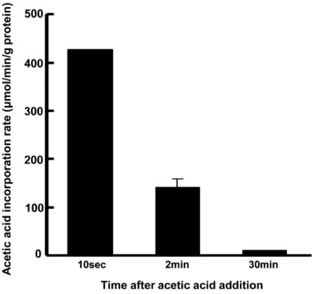 Fig 1. Uptake of acetic acid by L6 myotube cells. After treatment with acetic acid (0.5 mM), acetic acid content in the medium was determined at each indicated time point and the amount of uptake by the cells was calculated