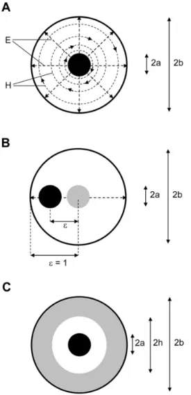 Figure 1. Cross sections of coaxial line. (A) Outline of electric (E) and magnetic (H) field lines; note radial the decrease in H-density