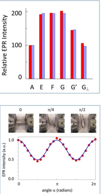 Figure 9. Signal intensity as afunction of TEM versus B orientation. Bar A is the Mn(II) reference signal from the 42 mm standard cell