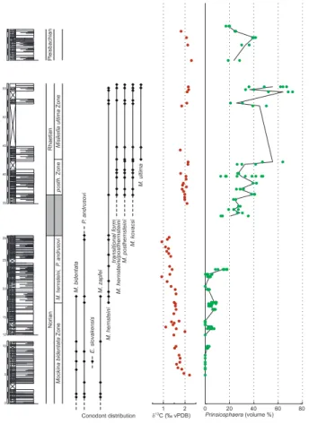 Fig. 2. Stratigraphy, stable carbon isotopes from bulk carbonate and volume proportion of calcareous nannofossils at Pizzo Mondello (Sicanian Basin, Sicily)