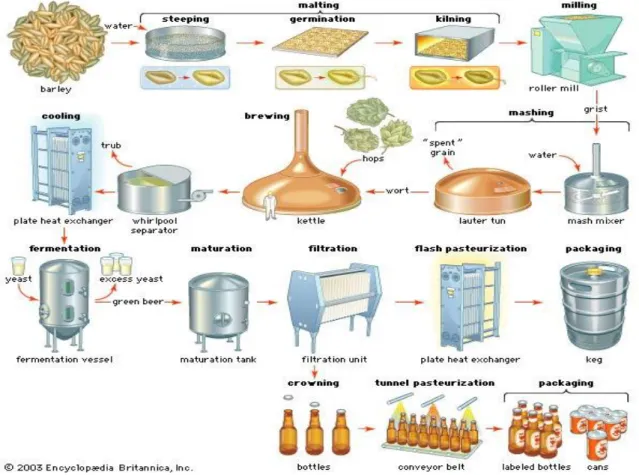 Figura 2.1 – Processo industrial de fabrico de cerveja (fonte: http://lonetreebrewery.com/page4/files/brewing-diagram.jpg) 