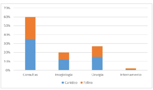 Gráfico 1 - Distribuição das atividades desenvolvidas durante o estágio,  consoante a espécie animal 