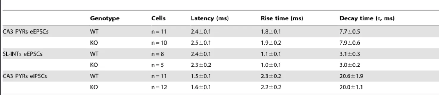 Table 1. The properties of evoked postsynaptic currents in CA3 area of BACE1 WT and KO mice.