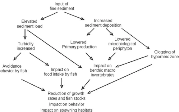 Figure 8. Schematic model of effects of elevated sediment loads on different biotic components in a river  ecosystem (following Rowe &amp; Dean, 1998, modi! ed)