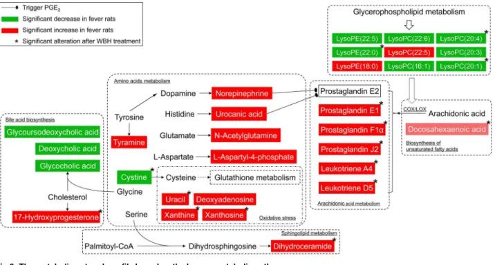 Fig 6. The metabolic network profile based on the known metabolic pathways.