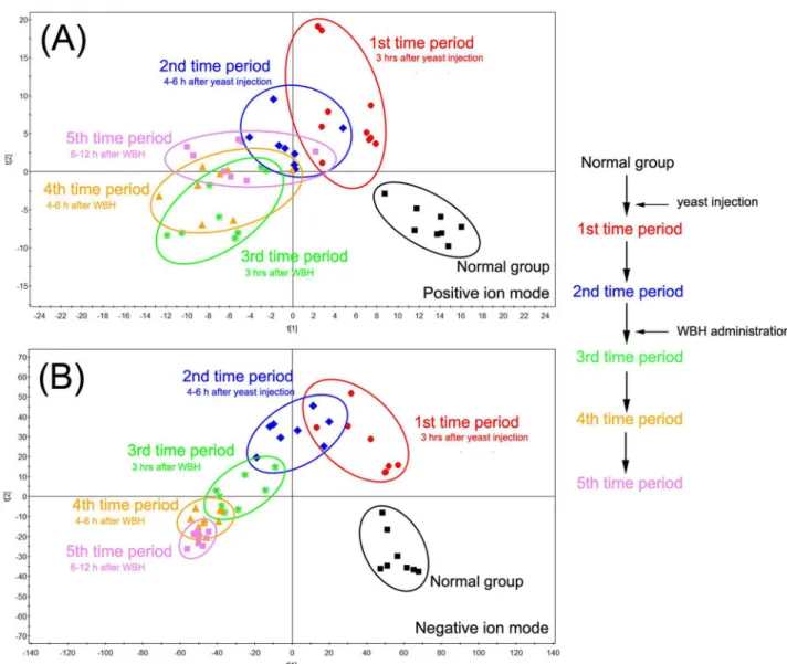 Fig 3. PCA analytical of urine results from hyperthermia rats treated with WBH in different time period in positive mode (A) and in negative mode (B).