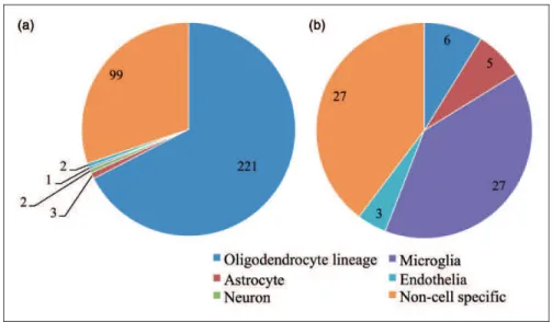 Table 2. Top 10 Transcripts That Have Increased Expression in Zfp191 null Whole Brains.