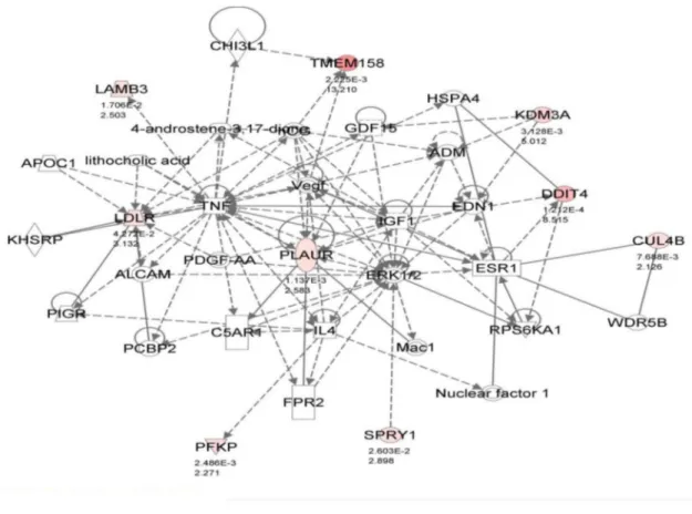 Figure 5. Top networks determined by Ingenuity Pathway Analysis. The top networks (most connections to central molecule) for hypomethylated and upregulated genes are shown for both hypoxia (A) and hypoglycaemia (B)