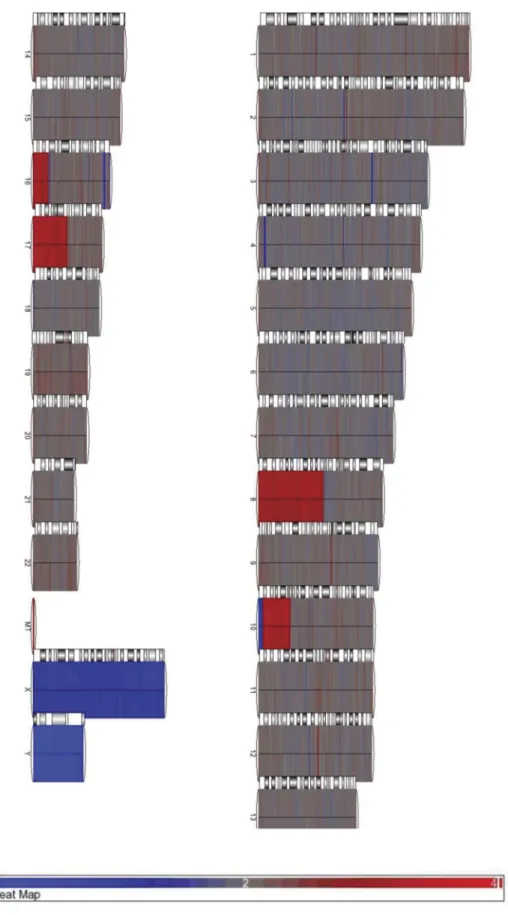 Figure 1. SNP 6.0 array of HCT116 cells to visualize copy number variation. Numbers (and X/Y) correspond to chromosomes, and MT represents mitochondrial DNA