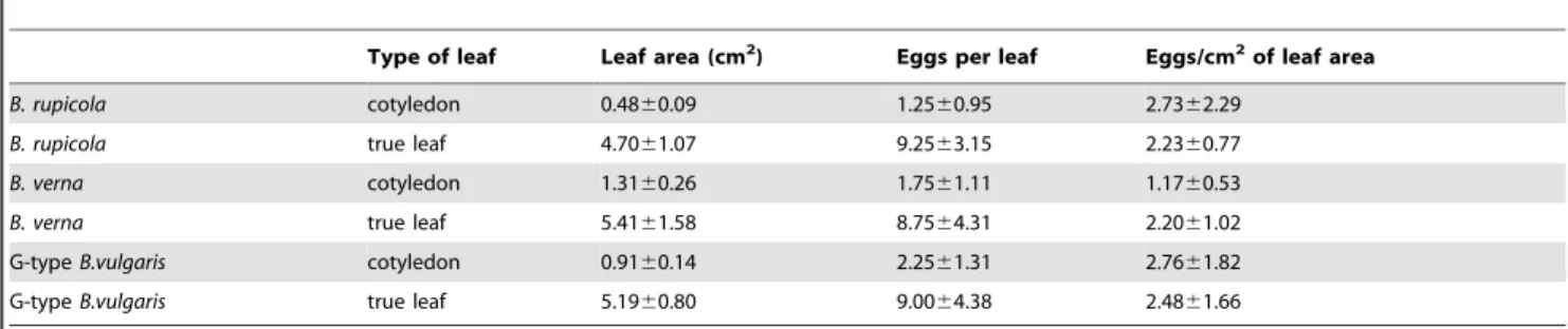 Table 7. Leaf areas of cotyledons and true leaves of B. rupicola, B. verna, and G-type B