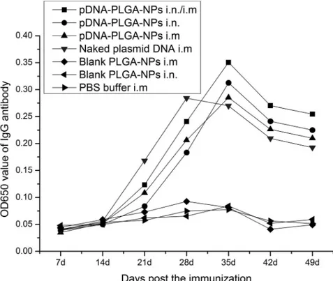 Figure 3. IgG antibody titers in serum of SPF chickens immunized with PBS (i.m.), blank PLGA-NPs (i.m.), blank PLGA-NPs (i.n.), and the naked plasmid DNA (i.m.), pFNDV-PLGA-NPs (i.m.), pFNDV-PLGA-NPs (i.n.) or pFNDV-PLGA-NPs (i.m./i.n.)