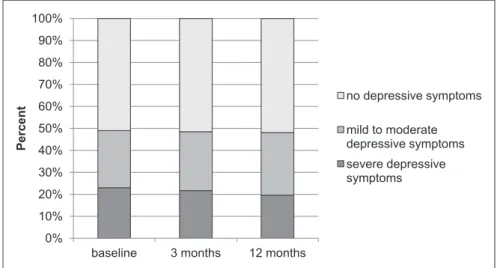 Figure 2.  Trajectories of depression symptom classes over 12 months.
