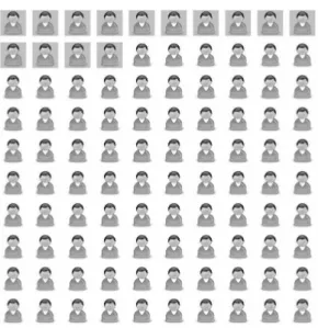 Figure 2: Pictograph used in Study 2