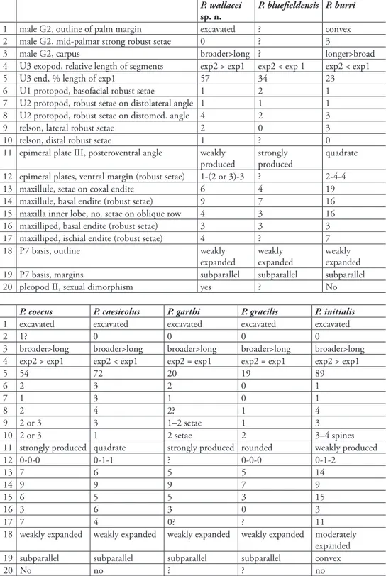 table 1. Main diagnostic features of Psammogammarus species.