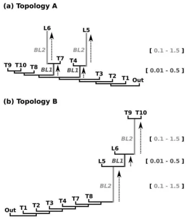 Figure 3. Selected results of ML reconstuctions for a ~ 1 : 0 under the mixed-distribution model (JC + C + I) and the C distributed model (Jukes-Cantor +C )
