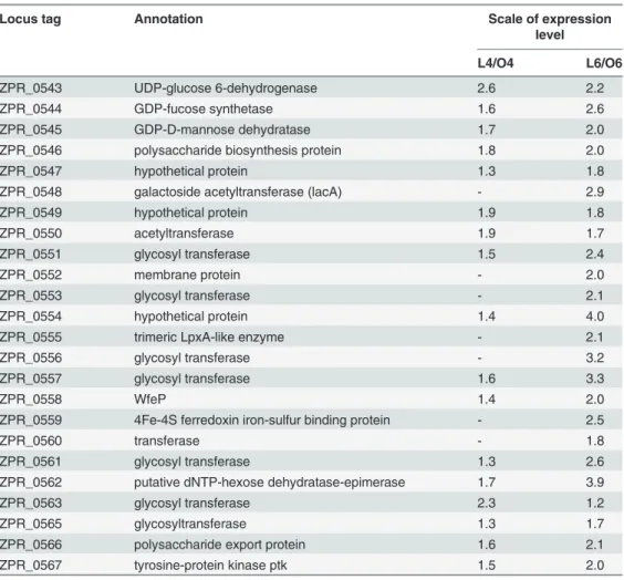 Table 2. Expression level of genes within the EPS gene cluster a .