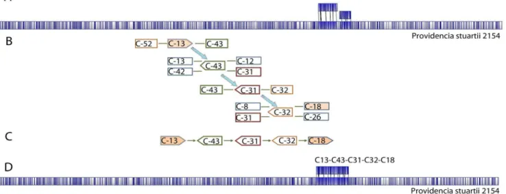 Figure 2. Integration of WGM alignment and 454 contig graph information for sequence assembly gap filling