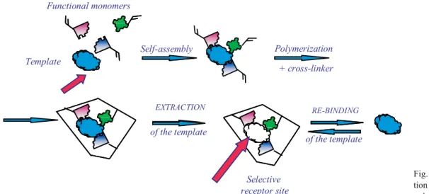 Fig. 5. The scheme of forma- forma-tion of molecularly imprinted polymers