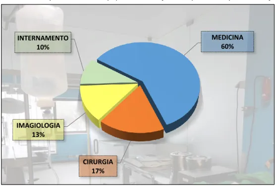 Gráfico 2 – Frequência relativa (%) da distribuição dos pacientes pelos serviços. 