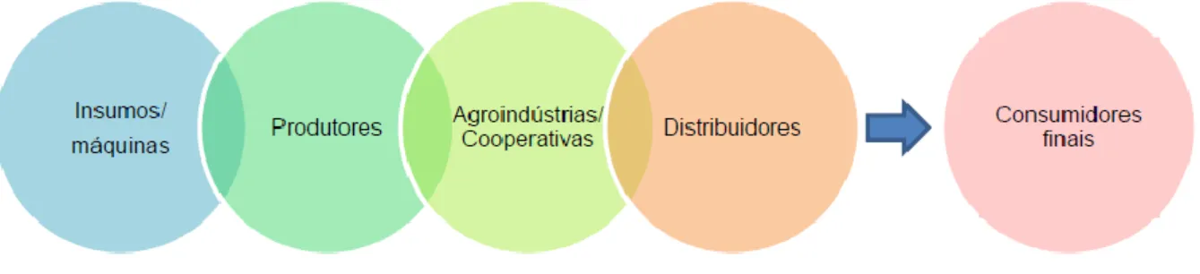 Figura 1. A cadeia que forma o agronegócio 