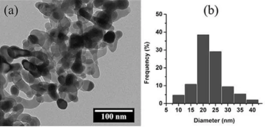 Figure 3. TEM images of nanoparticles (a) and size distribution of nanoparticles (histogram) (b).