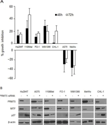 Table 4. Effects of PRMT5 siRNA on microRNA (miR) expression in human melanoma cell lines.