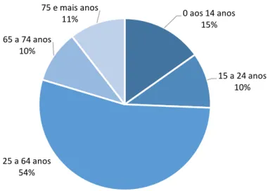 Figura 3.5- Faixas etárias da população do concelho, 2016