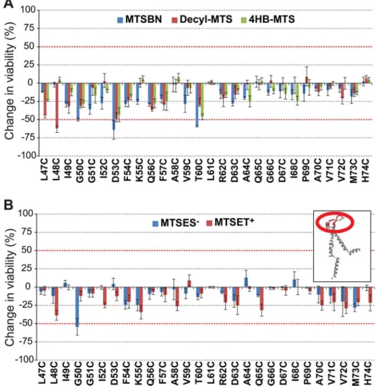 Fig 6. Effects of post translational modifications on the periplasmic loop of MscL determined by in vivo channel activity