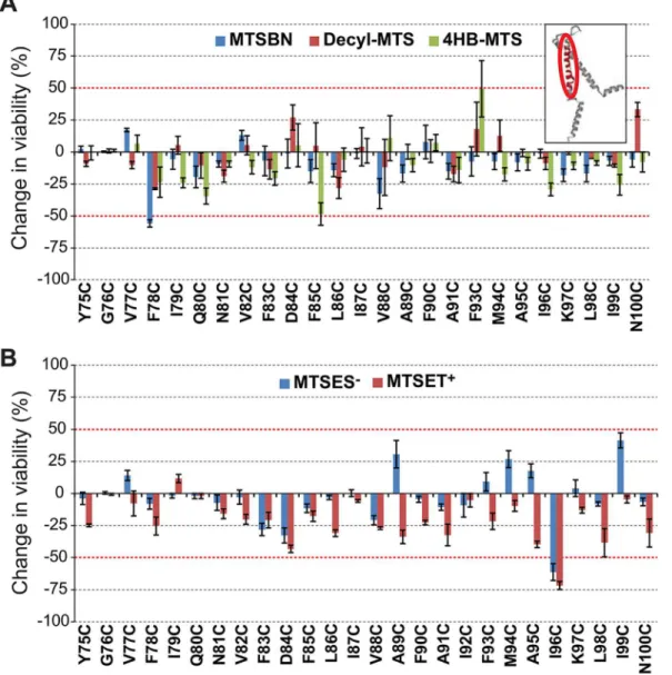 Fig 8. Effects of post translational modifications on the TM2 domain of MscL determined by in vivo channel activity