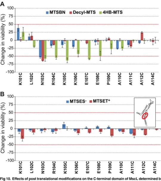 Fig 10. Effects of post translational modifications on the C-terminal domain of MscL determined by in vivo channel activity